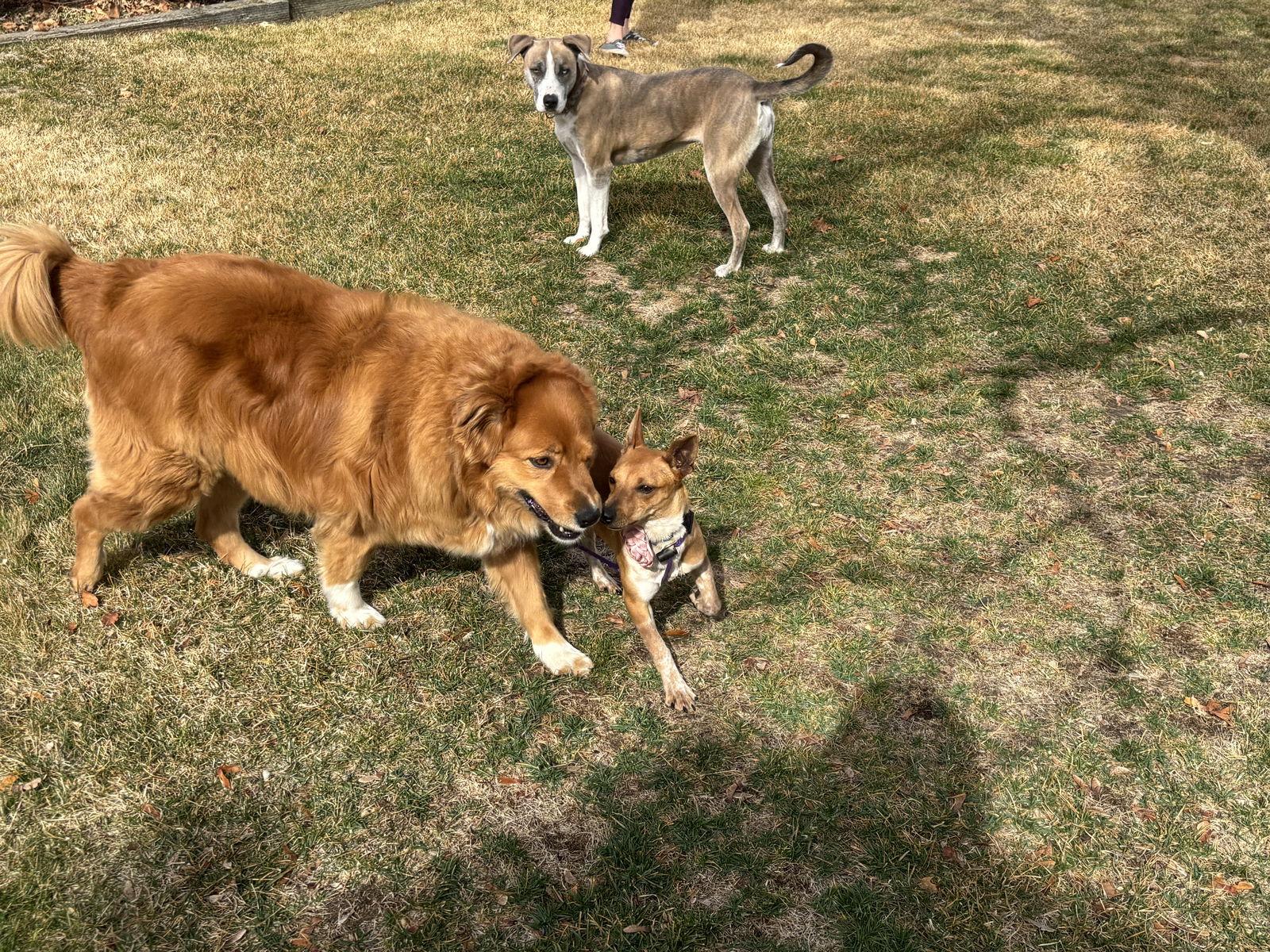 Keti — thumbnail 3