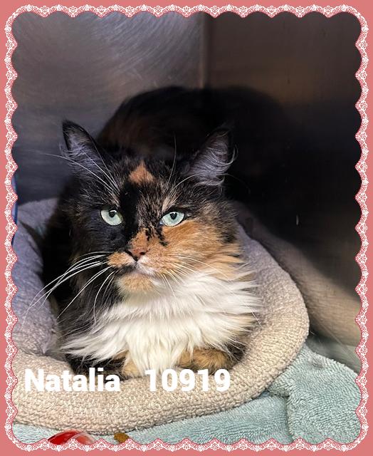 NATALIA