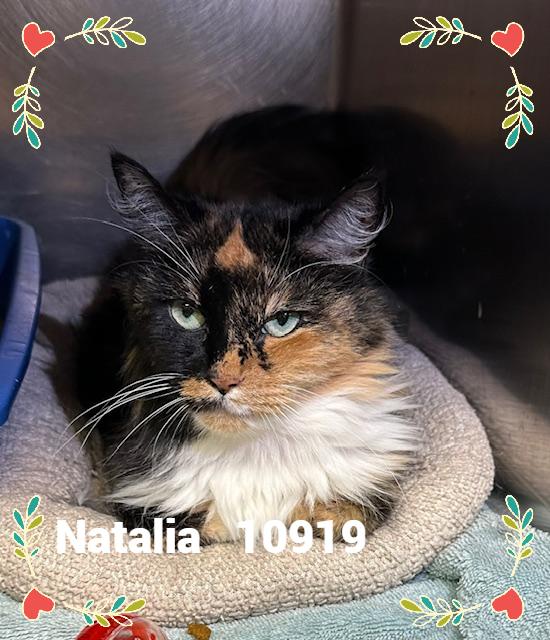 NATALIA