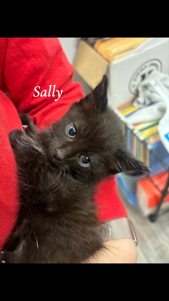 Sally