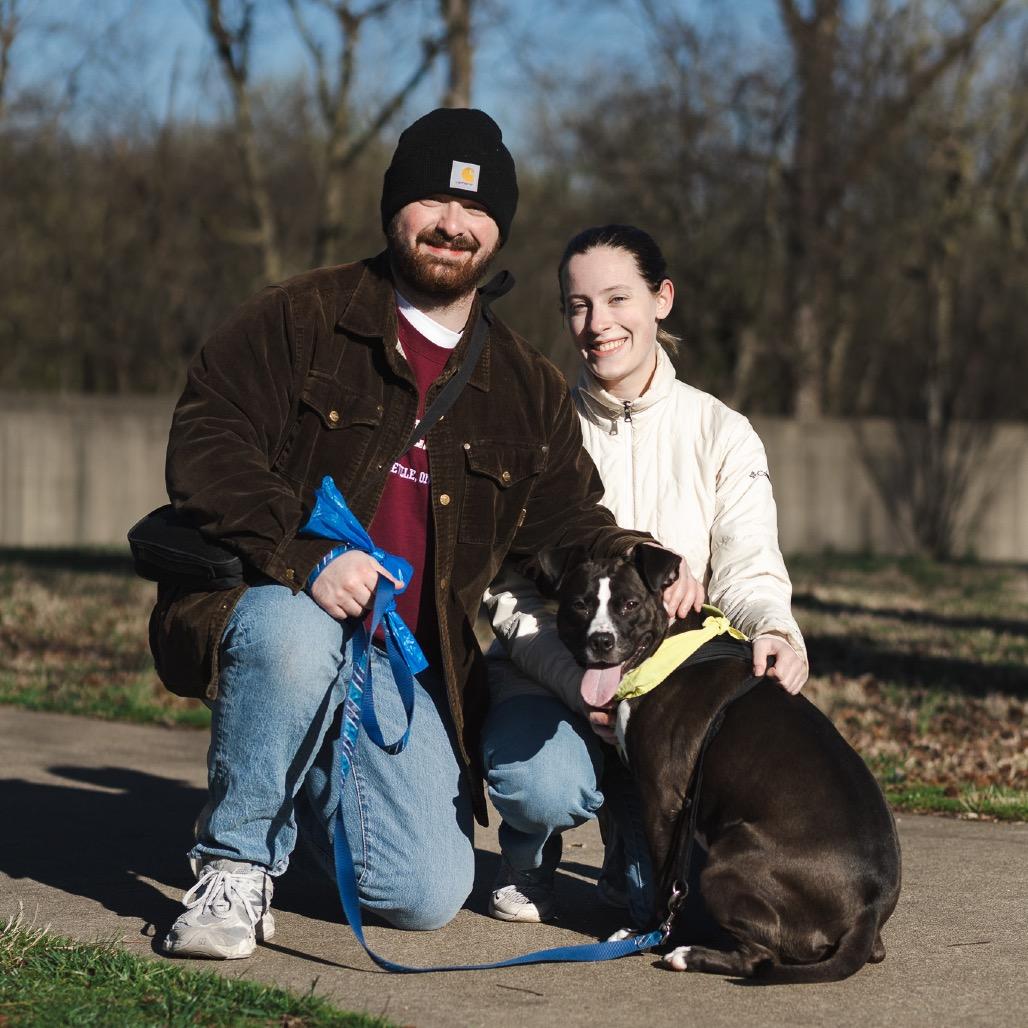 Enlarge Tessie, a Adoptable mixed breed in Evansville, IN image 2/6