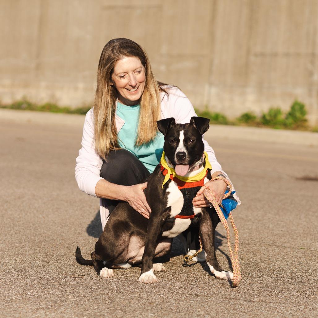 Enlarge Tessie, a Adoptable mixed breed in Evansville, IN image 4/6