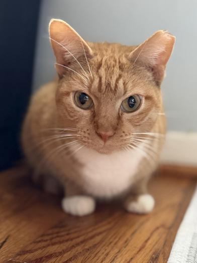 Charlotte — thumbnail 2