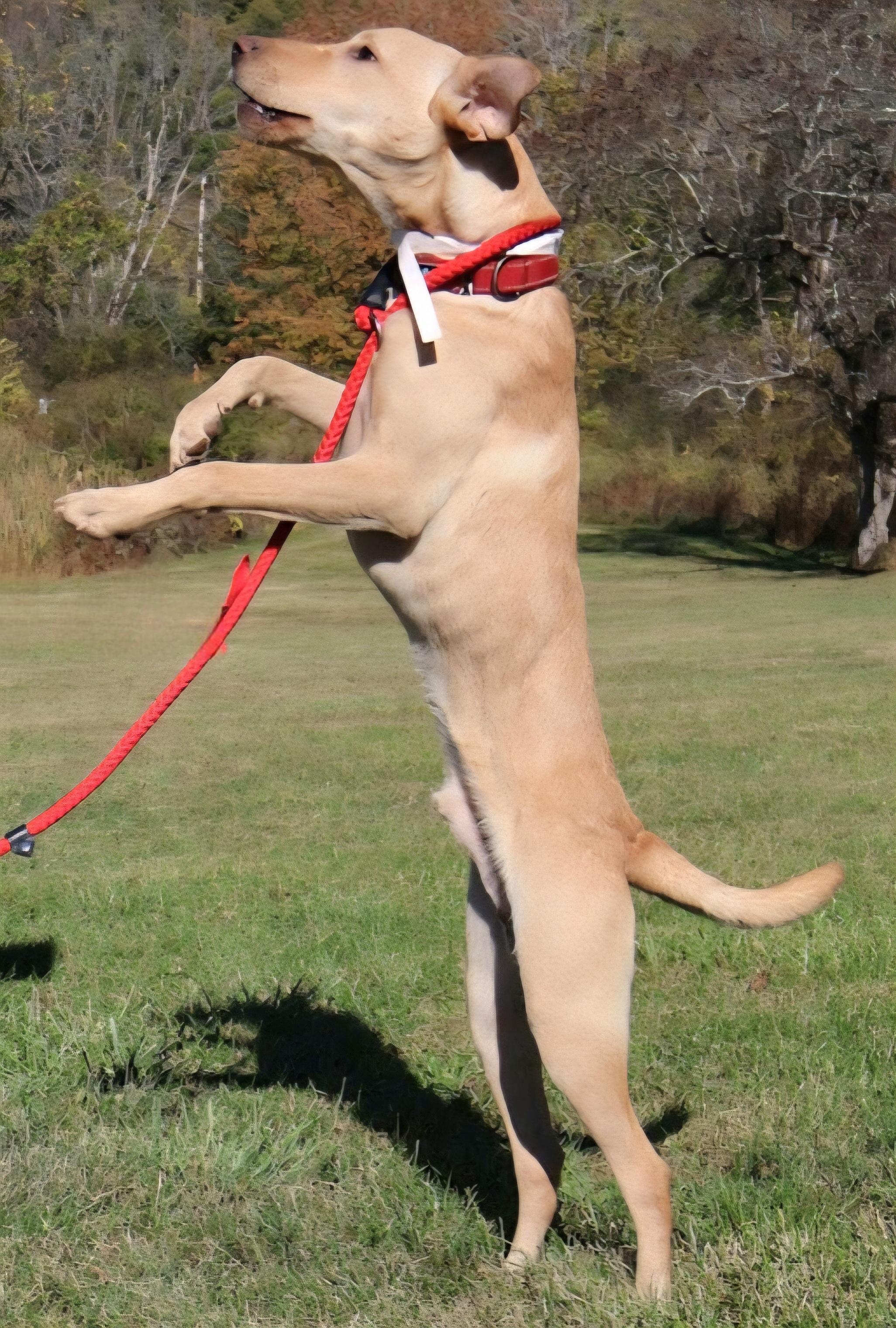 COCA COLA in NY to meet and greet!