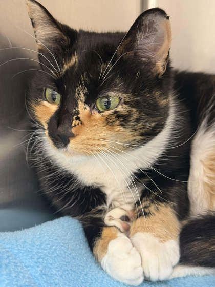 Cheryl — thumbnail 2