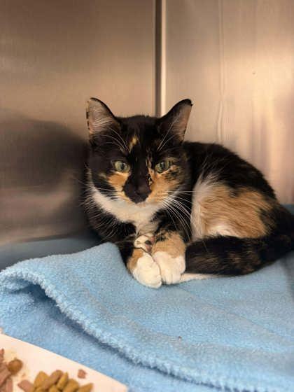 Cheryl — thumbnail 3