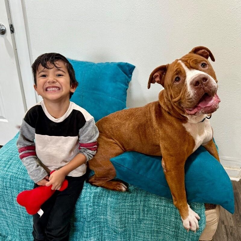 Guppy Delivers Giggles — thumbnail 4