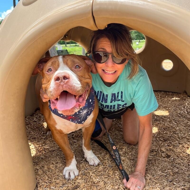 Guppy Delivers Giggles — thumbnail 5