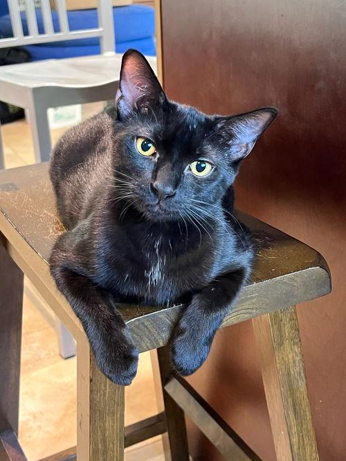 COURTESY POST: Biscuit