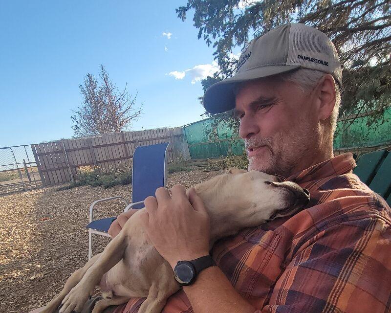 Enlarge Chapo, a Adoptable mixed breed in Windsor, CO image 3/6