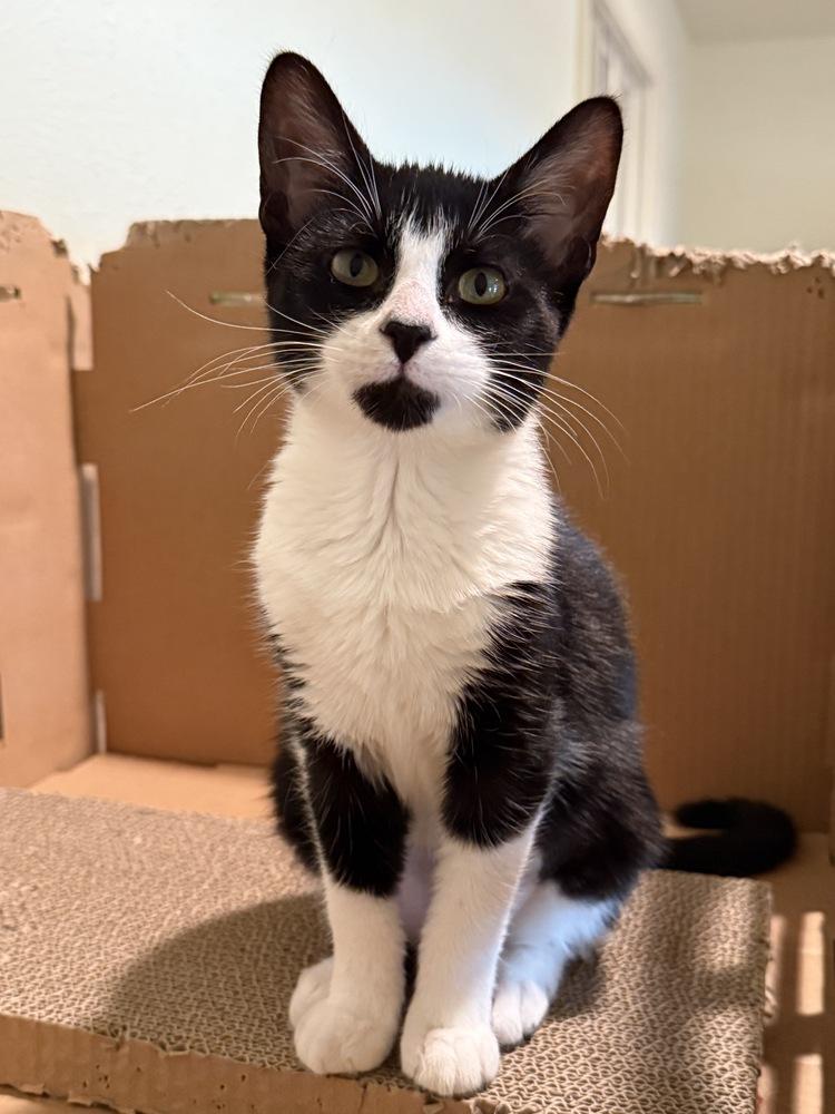 Camden — thumbnail 2