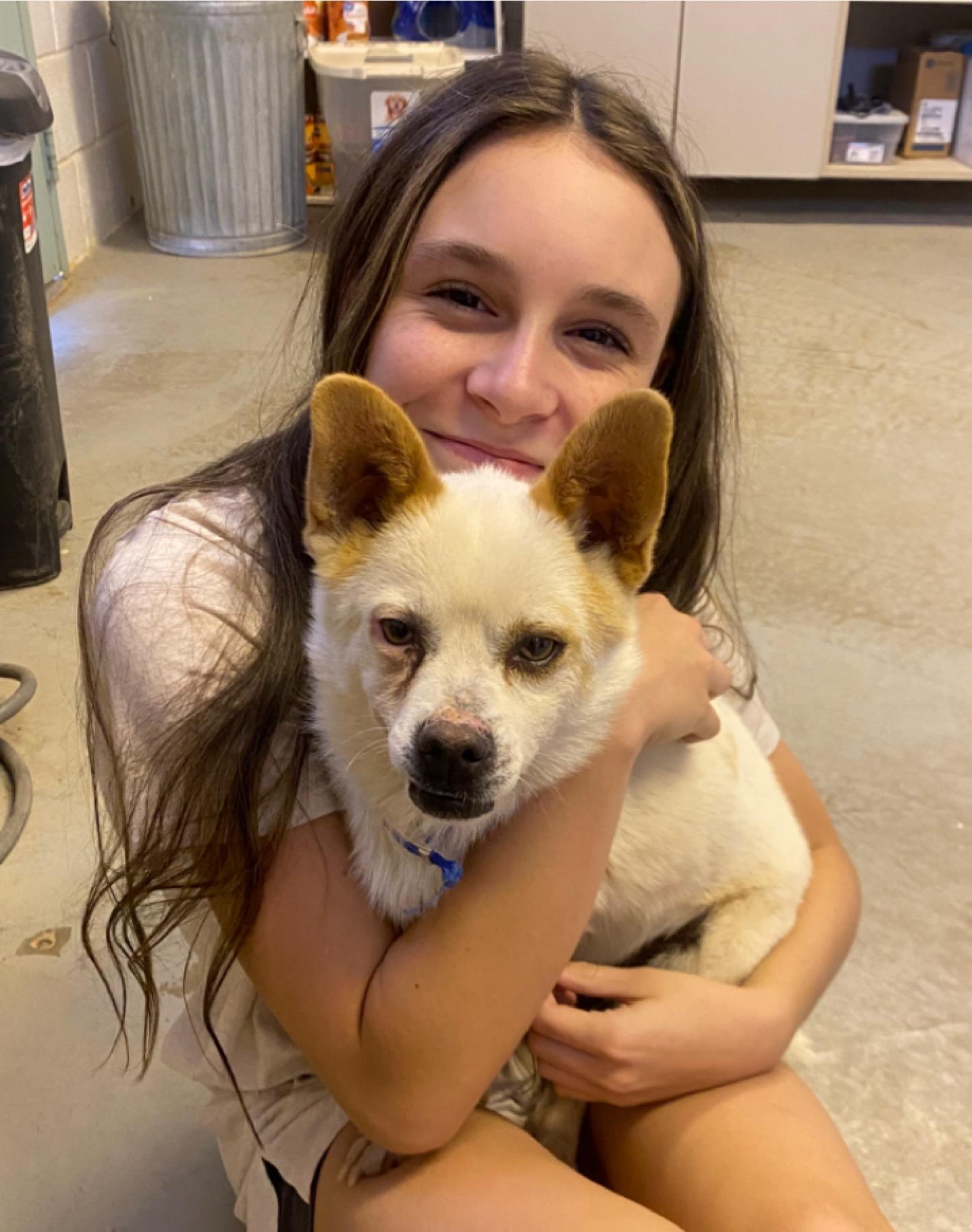 Enlarge Leo, a Adopted mixed breed in Parowan, UT image 1/5