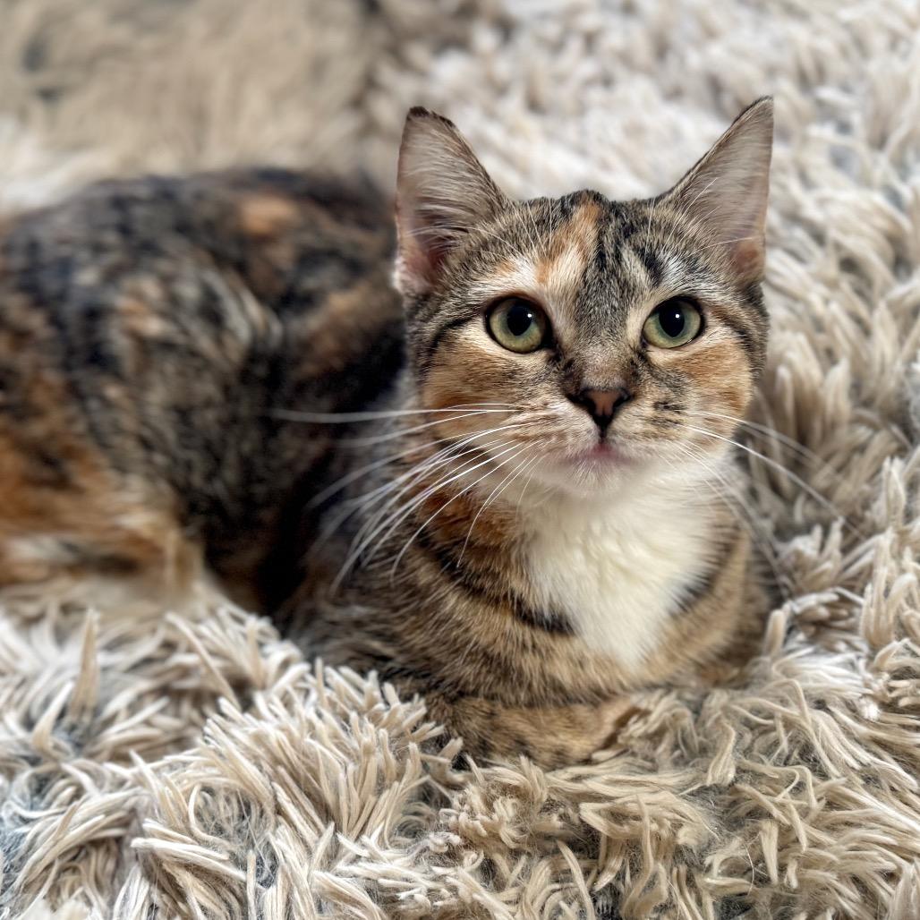 Autumn — thumbnail 3