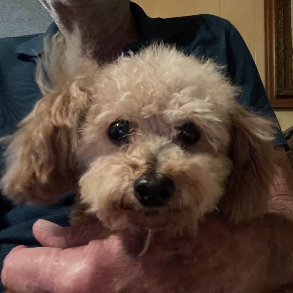 Emma (Dallas) — thumbnail 2