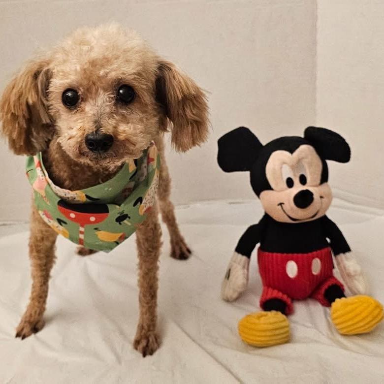 Emma (Dallas) — thumbnail 3