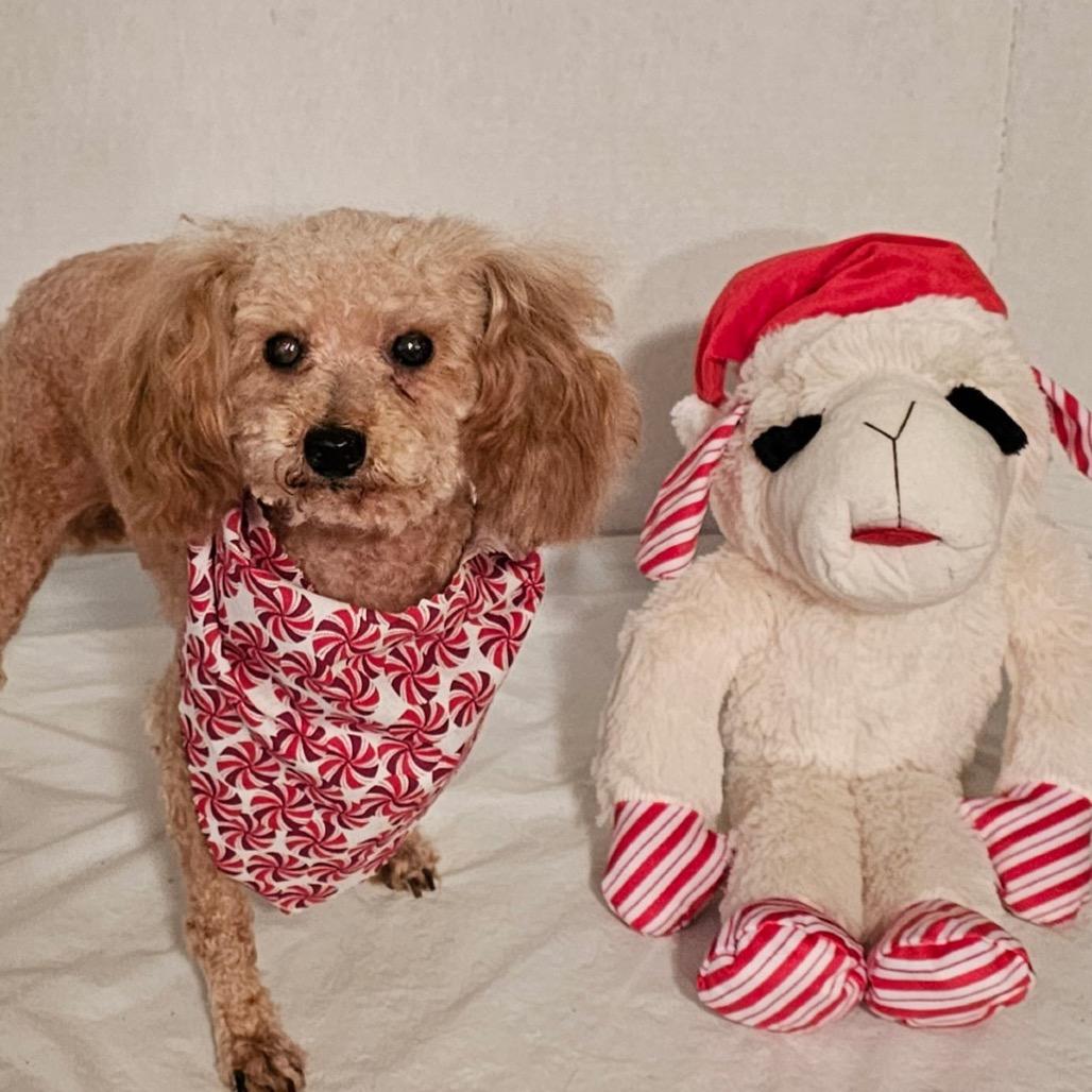 Emma (Dallas) — thumbnail 4