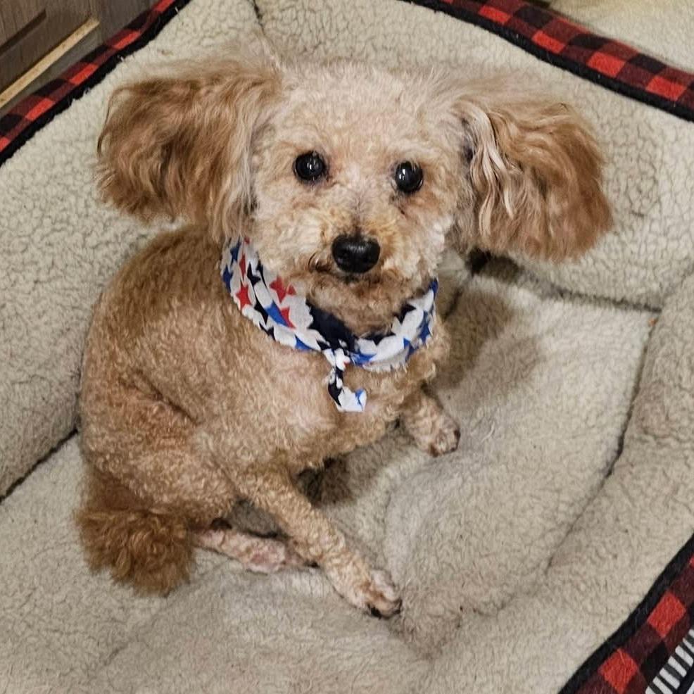 Emma (Dallas) — thumbnail 5