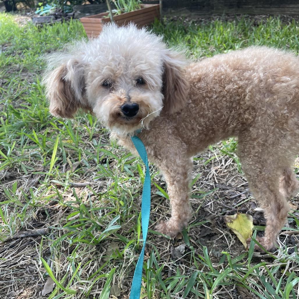 Emma (Dallas) — thumbnail 6