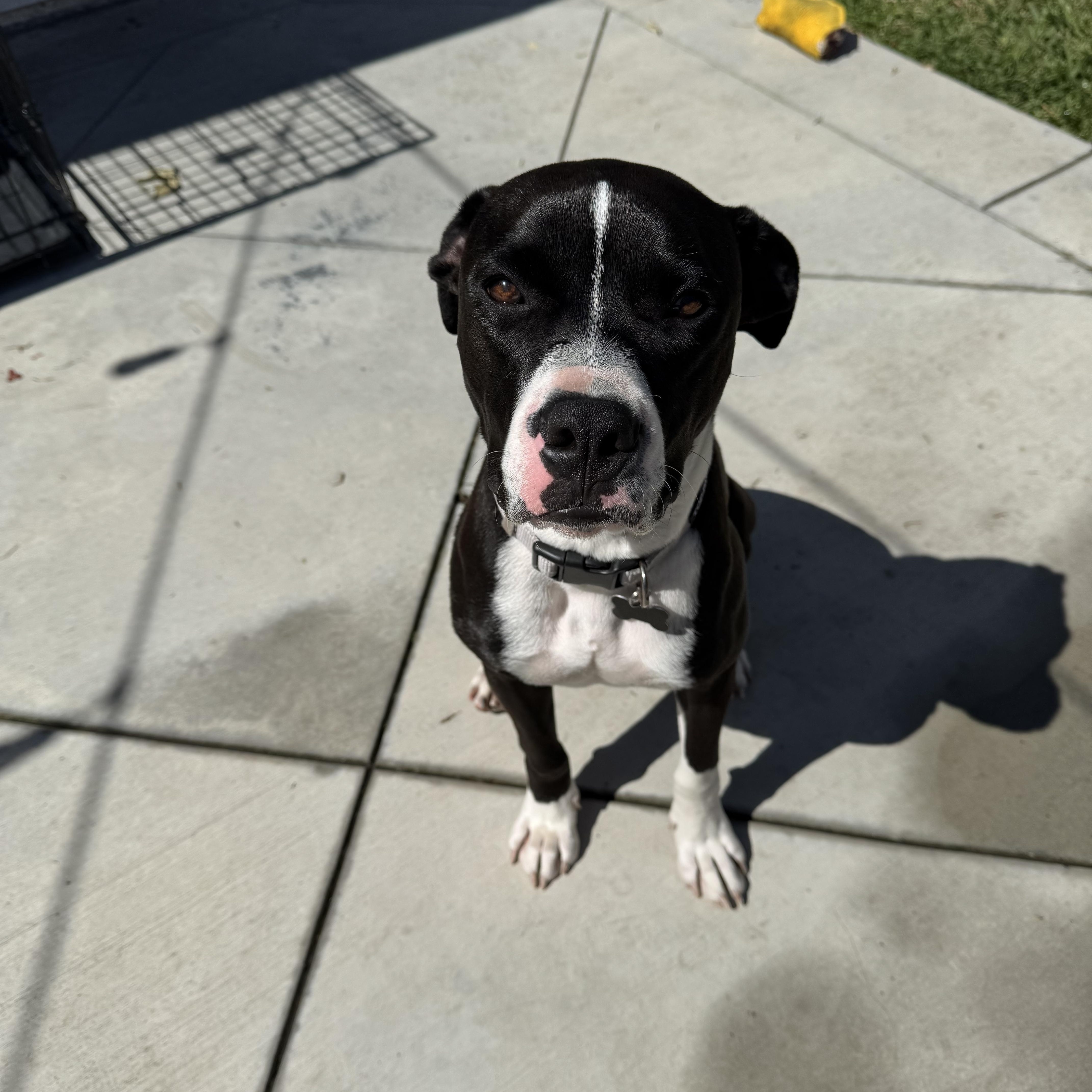 Lola Looking For Love photo 1