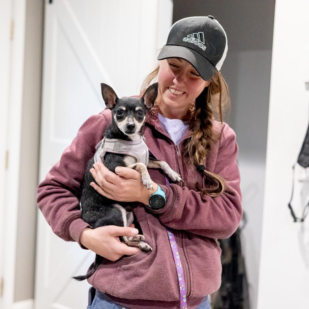 Enlarge Maggie  (Female), a Adoptable Chihuahua in West Grove, PA image 4/6