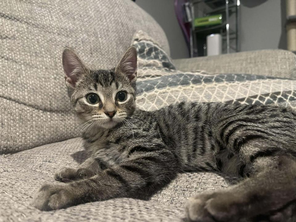 Doodle — thumbnail 2