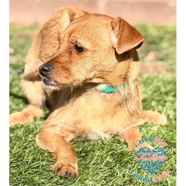 Janet Litterpenny thumbnail 2