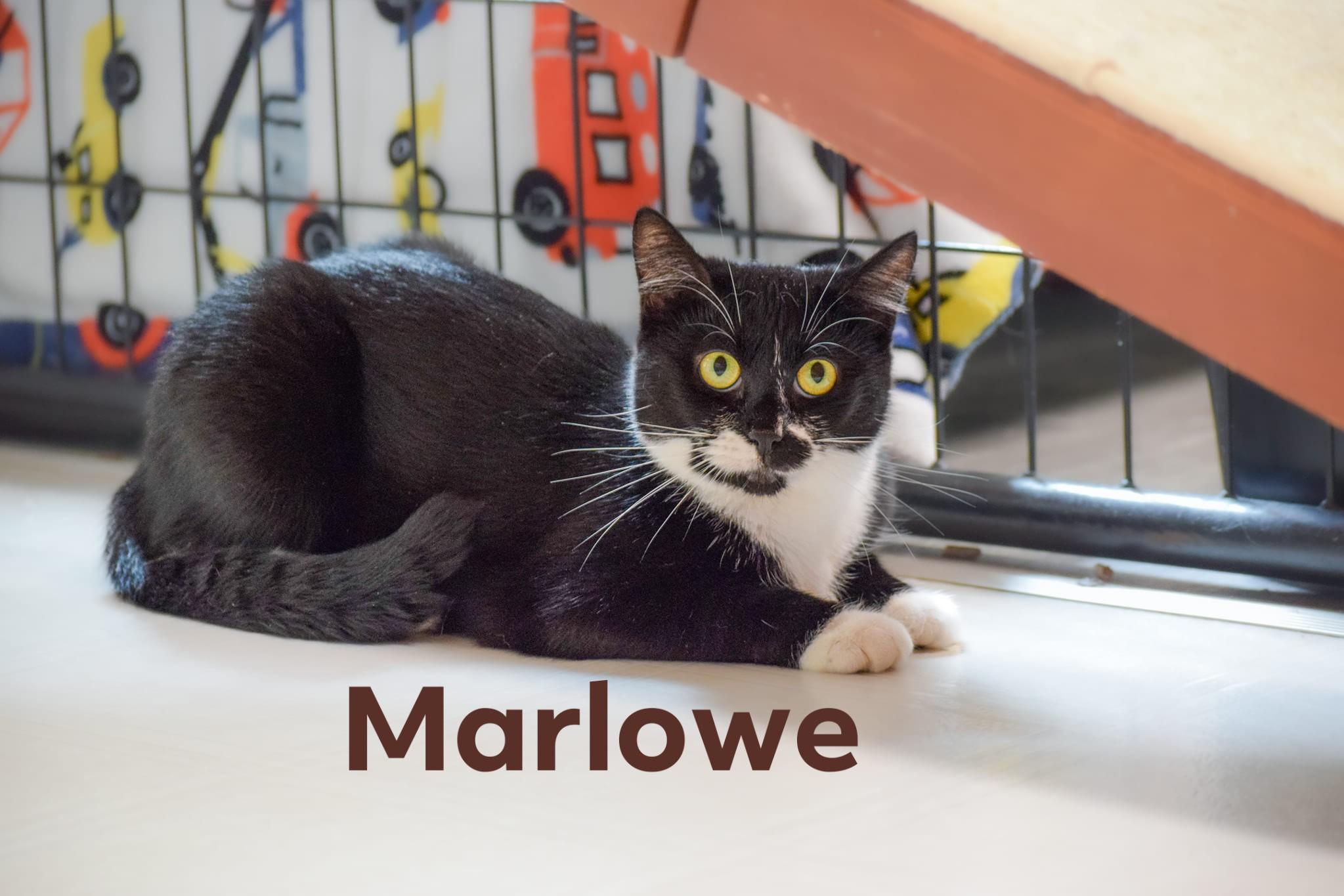 Marlowe