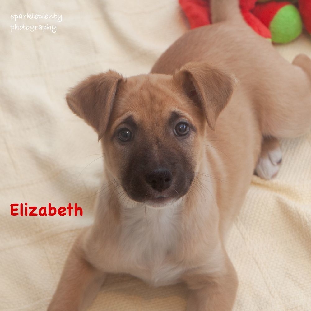 Elizabeth