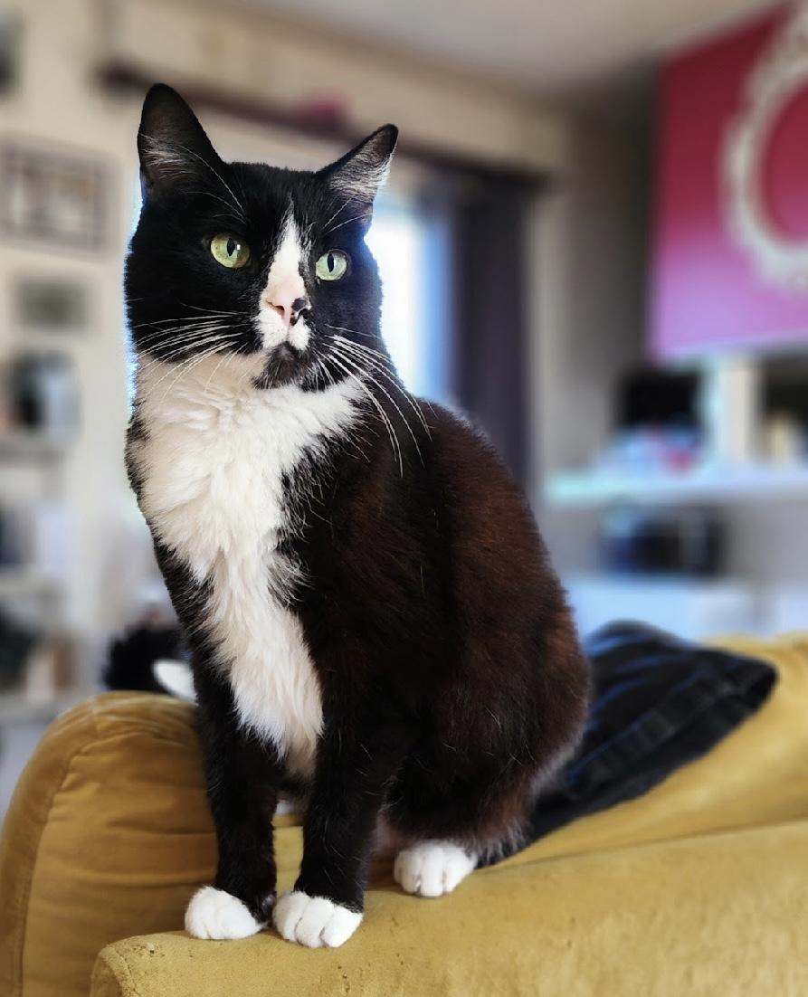 Boots — thumbnail 2