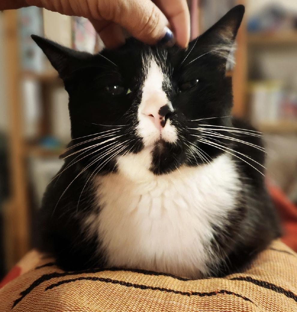 Boots — thumbnail 3