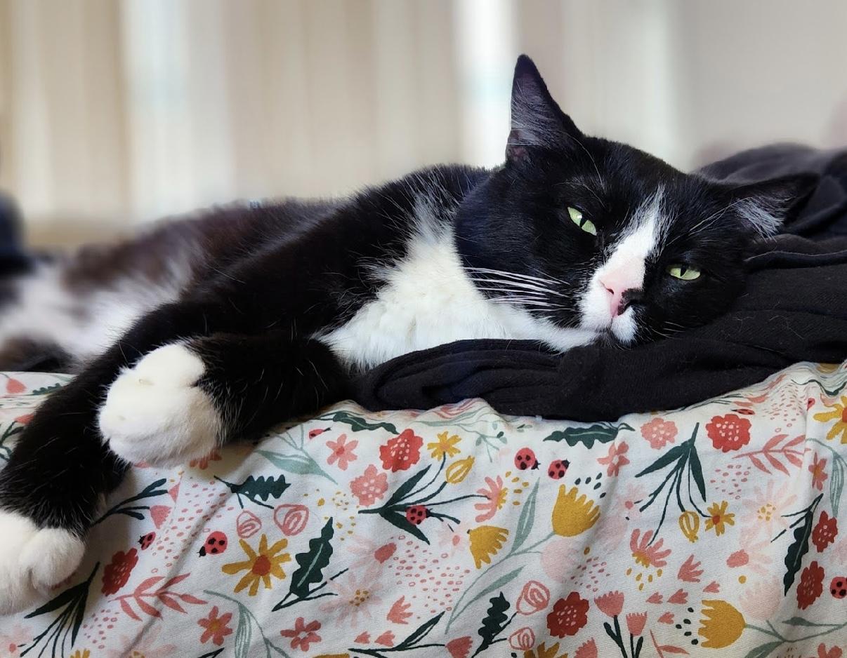 Boots — thumbnail 4