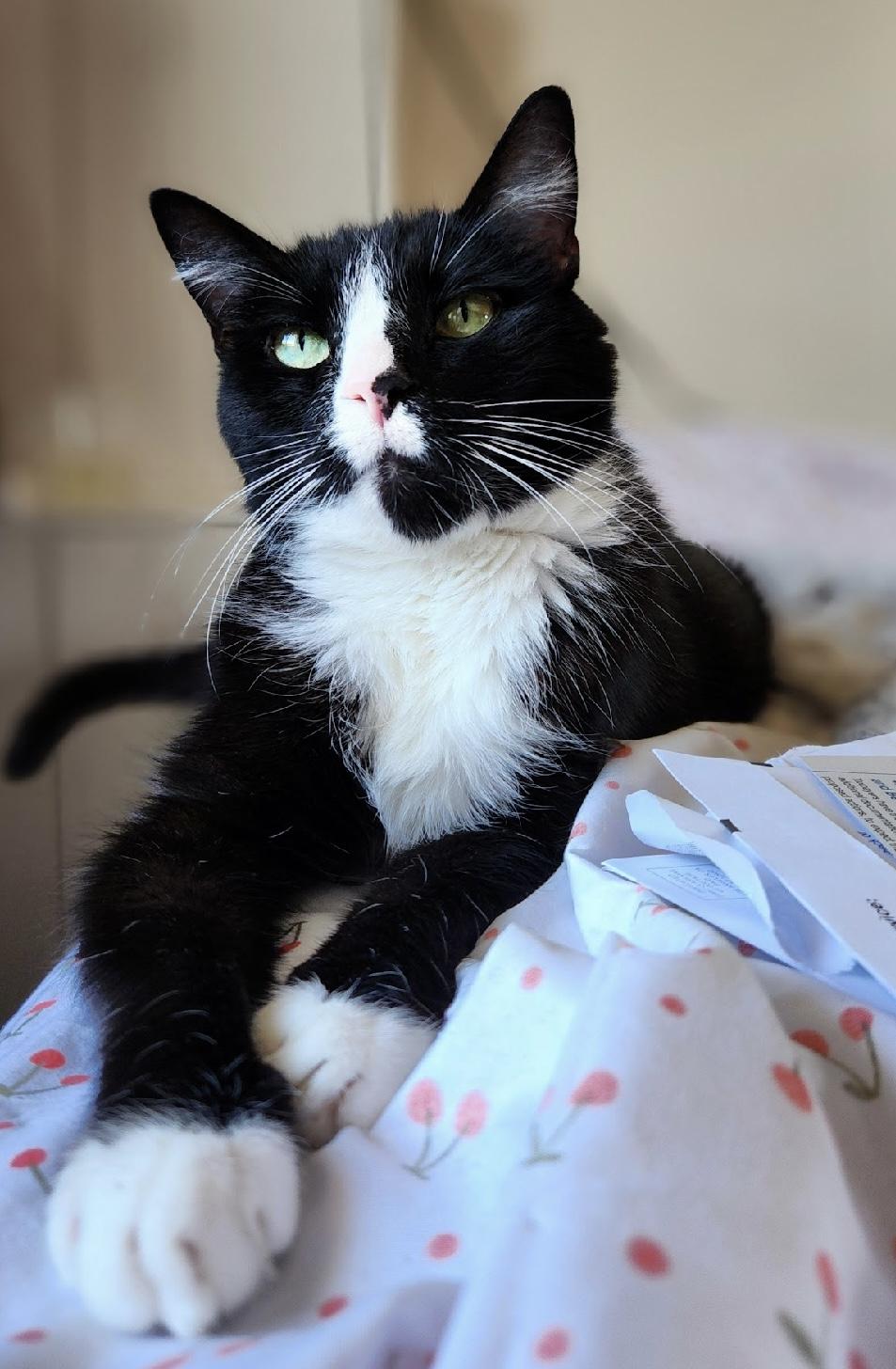 Boots — thumbnail 5