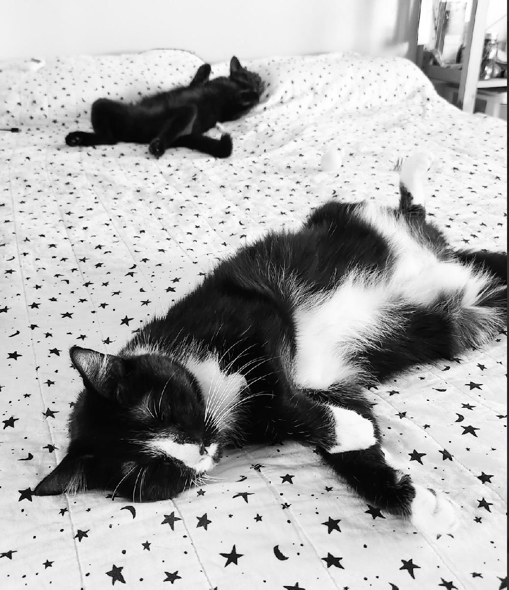 Boots — thumbnail 6