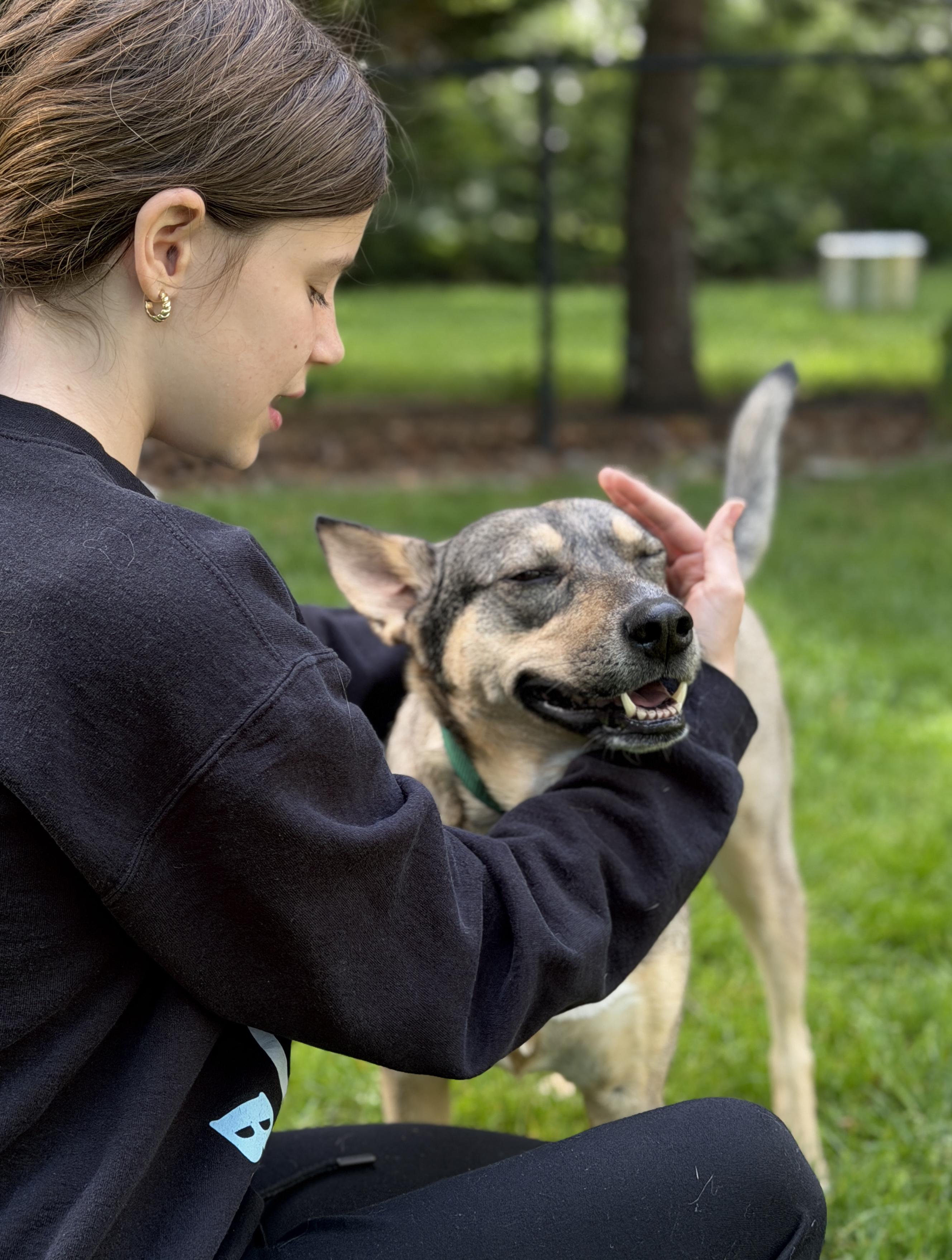 Trinity, a Adoptable mixed breed in Chatham, NJ image 4/6