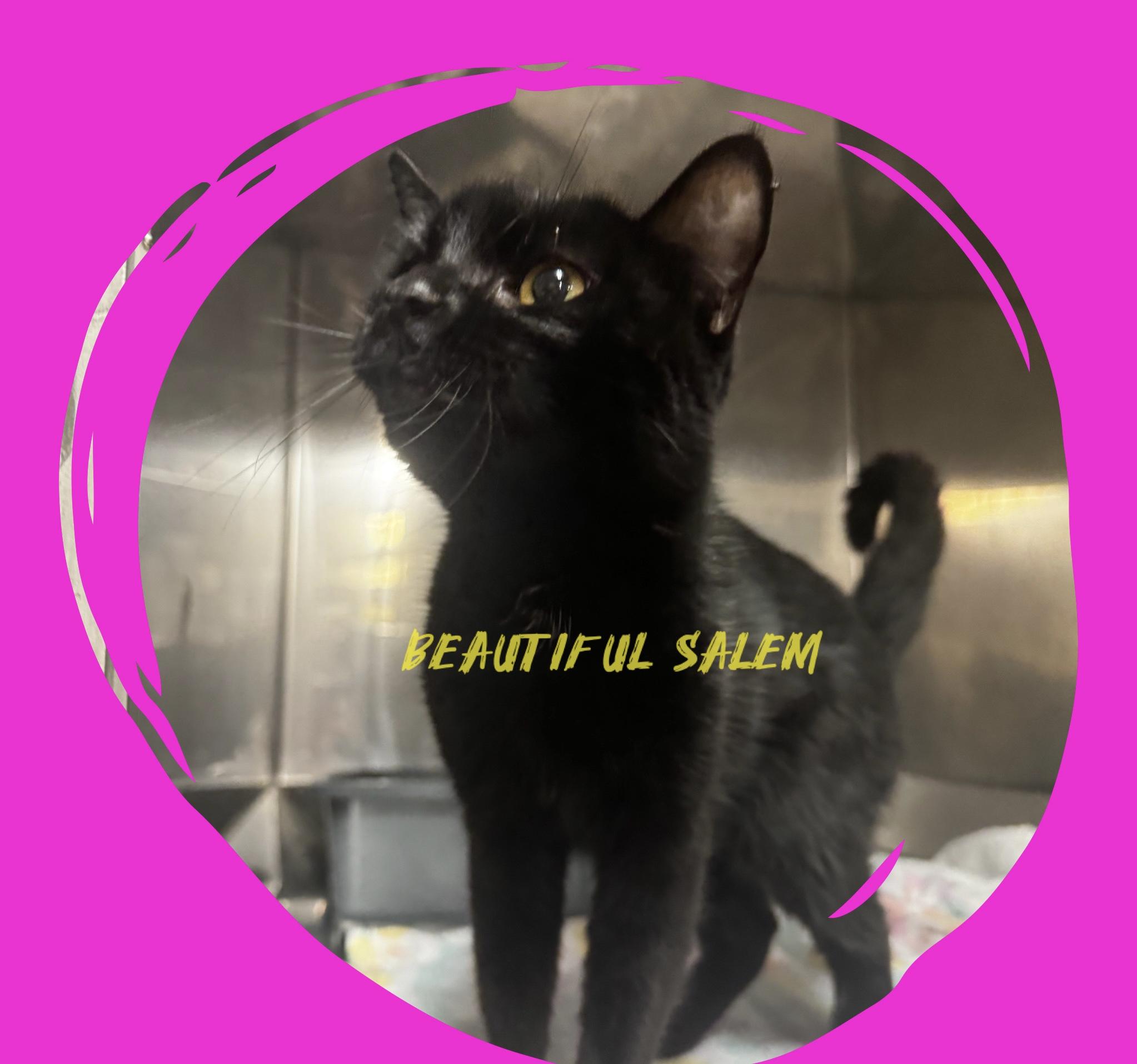 Salem
