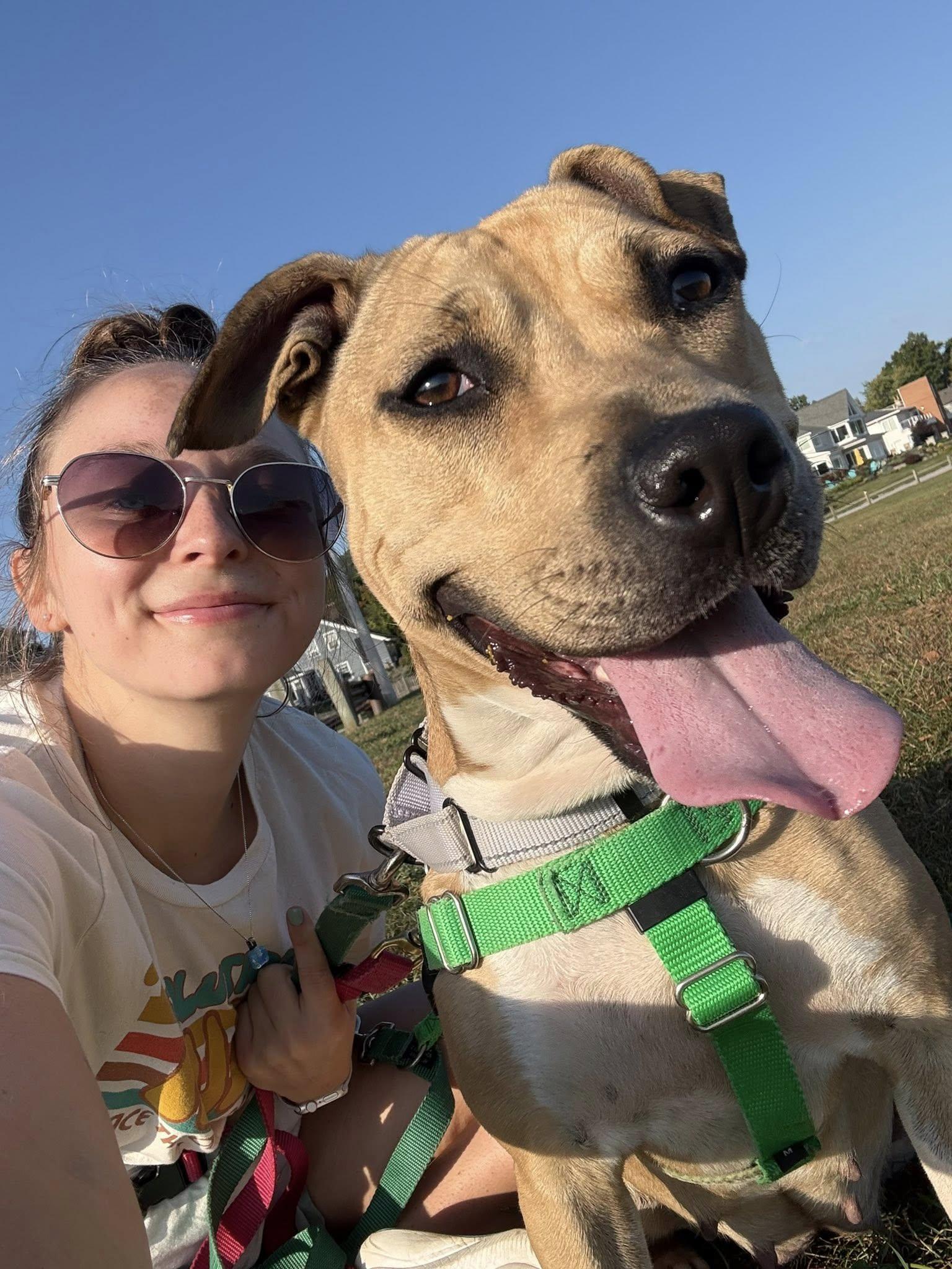 Starburst, a Adoptable mixed breed in Cleveland, OH image 6/6