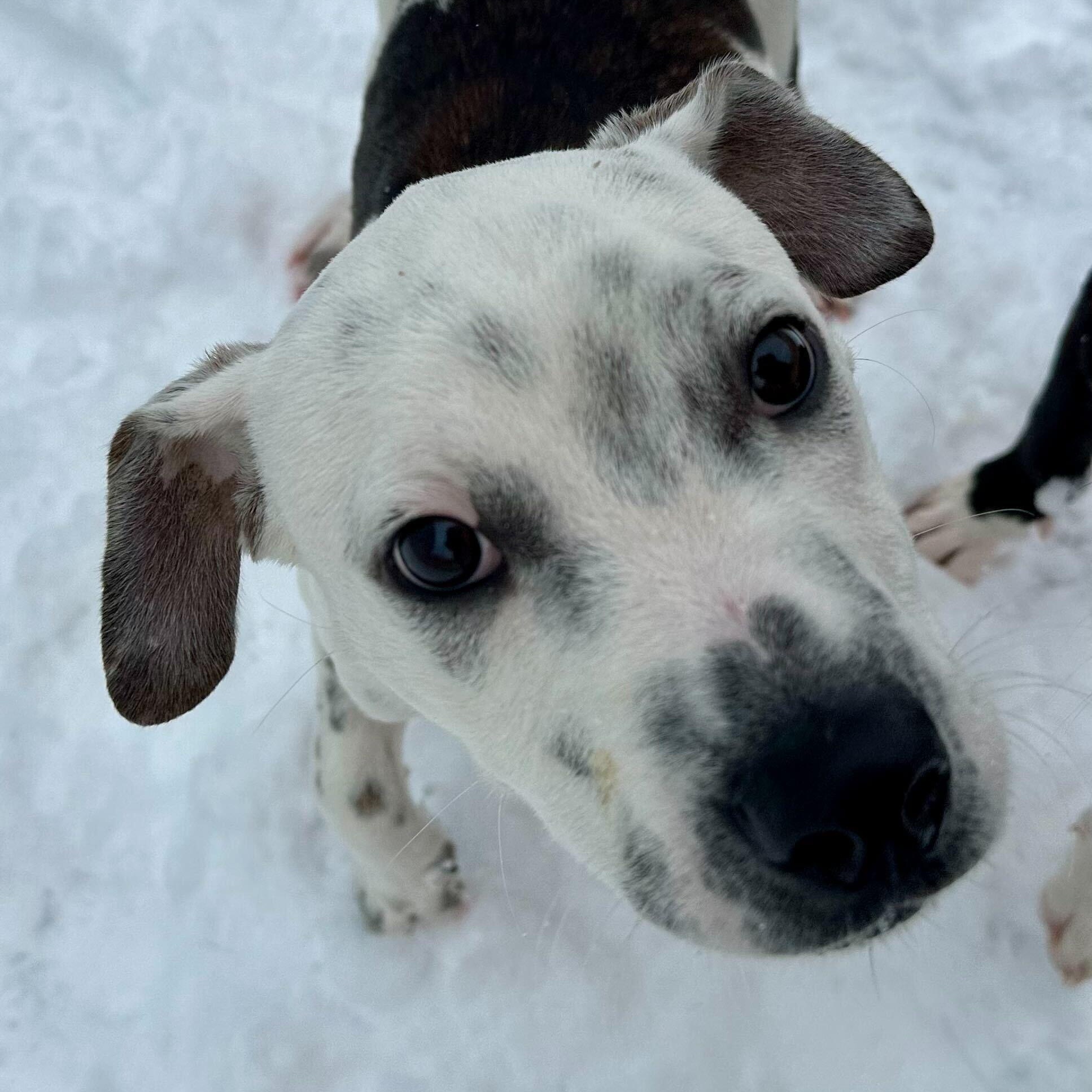 Theodore *HERE IN NH*