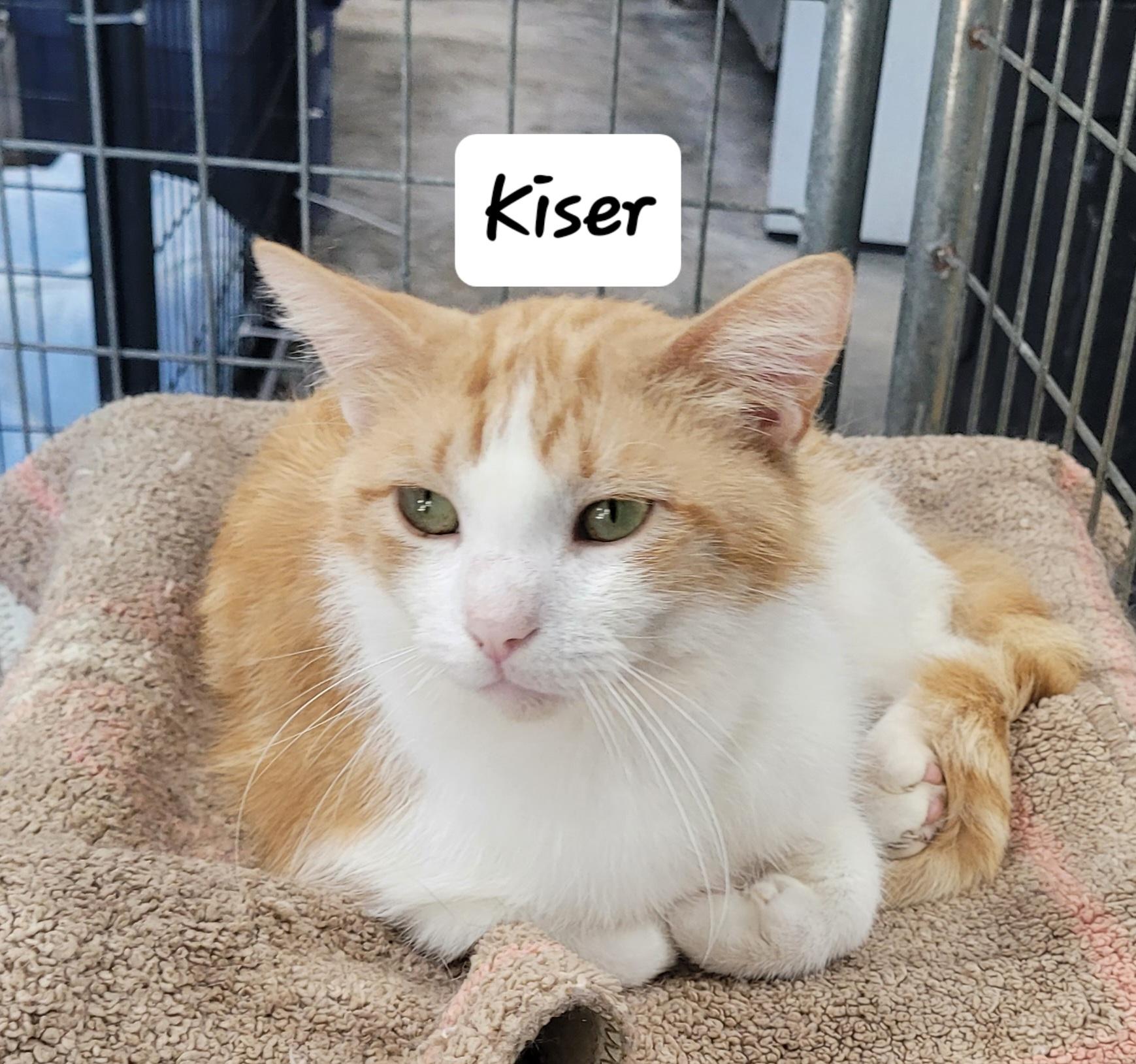 Kiser, Adult Male unknown