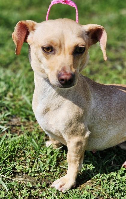 Molly Ringwald fka 222270