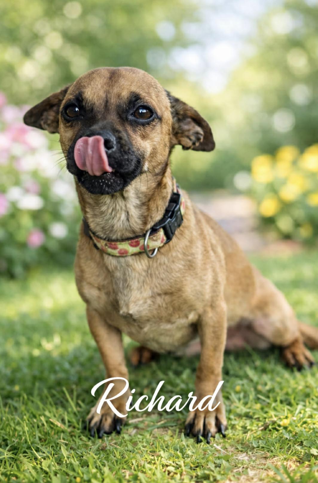 Richard — thumbnail 2