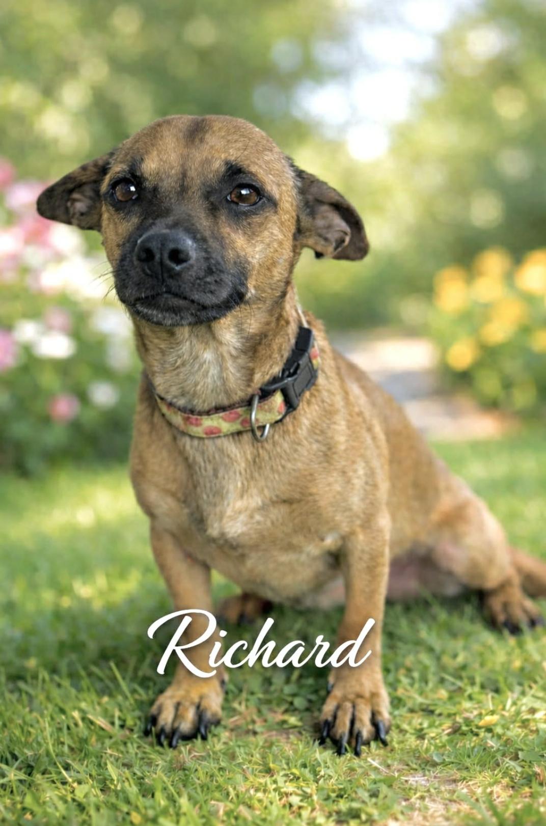 Richard — thumbnail 3