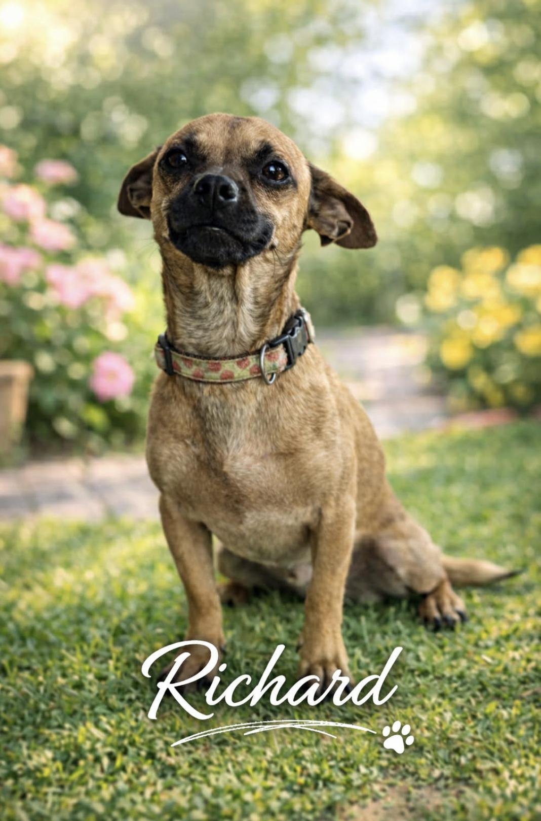 Richard — thumbnail 4