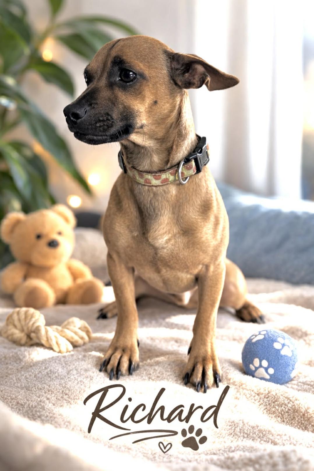 Richard — thumbnail 6