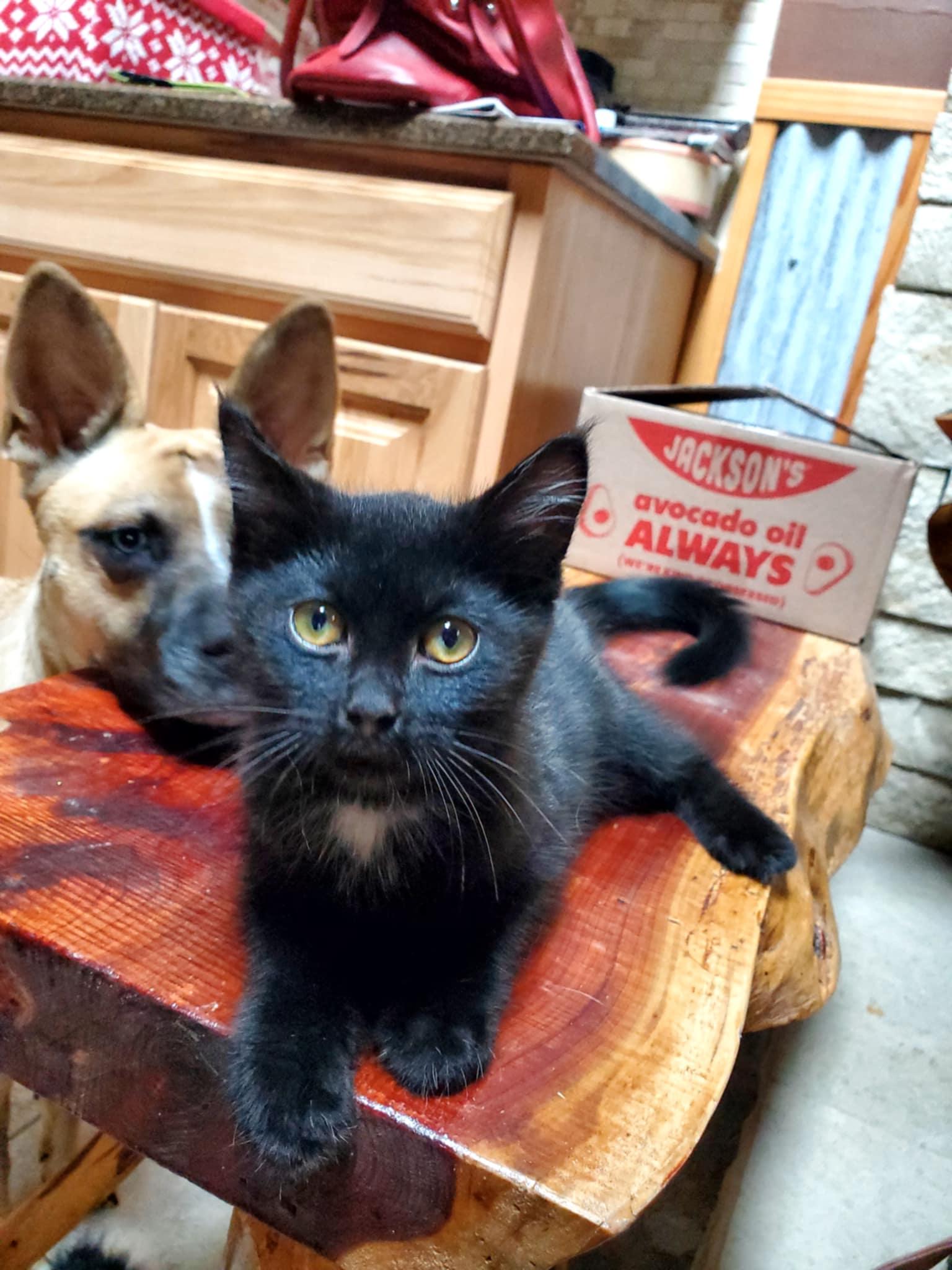 Huey