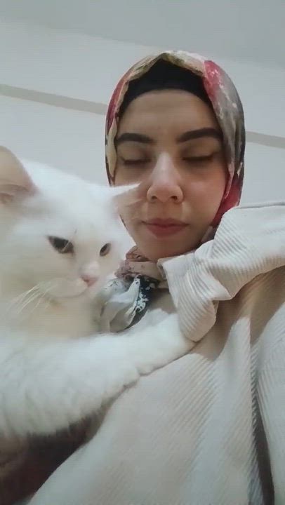 Enlarge Aiden- MICHELLE  Kukuy, an adopted mixed breed in Brampton, ON video 2/4
