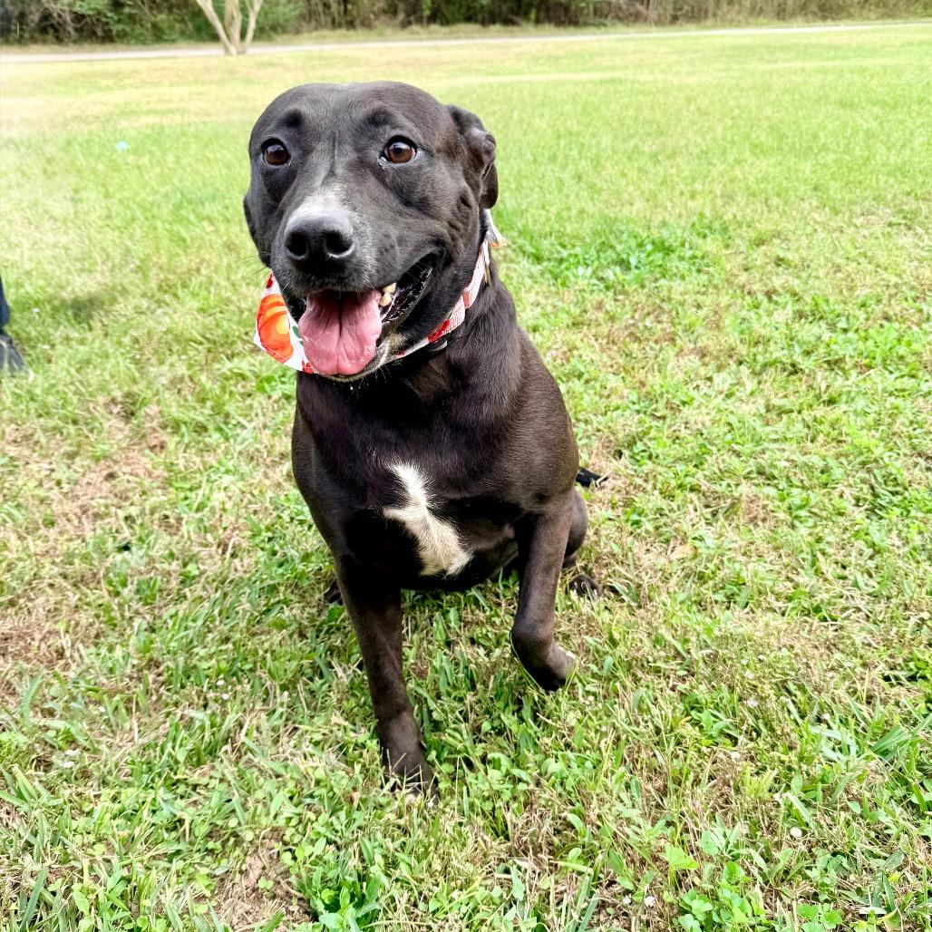 Mercedes — thumbnail 4