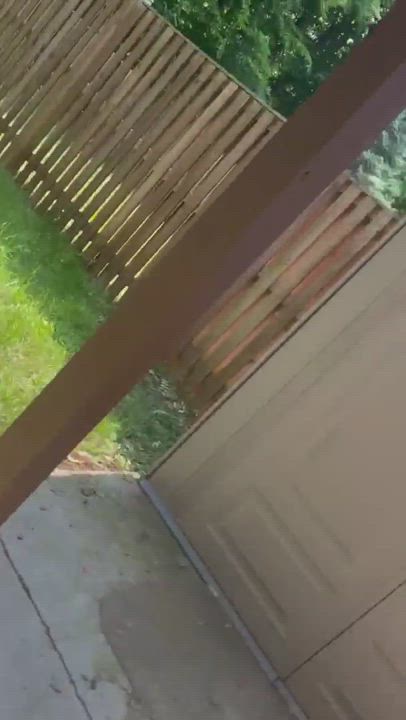 Enlarge Noemi, a Adoptable Black Labrador Retriever in Waldorf, MD video 6/6