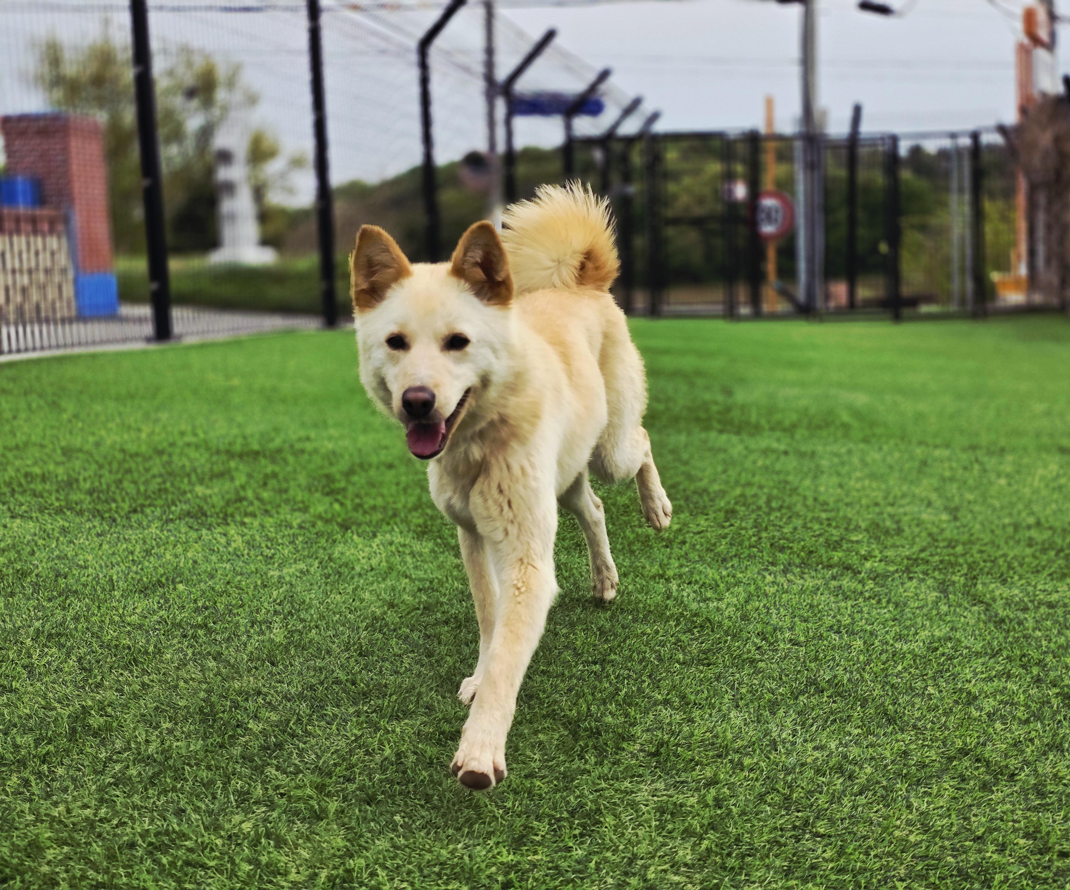 Lena-25 lbs. of love.