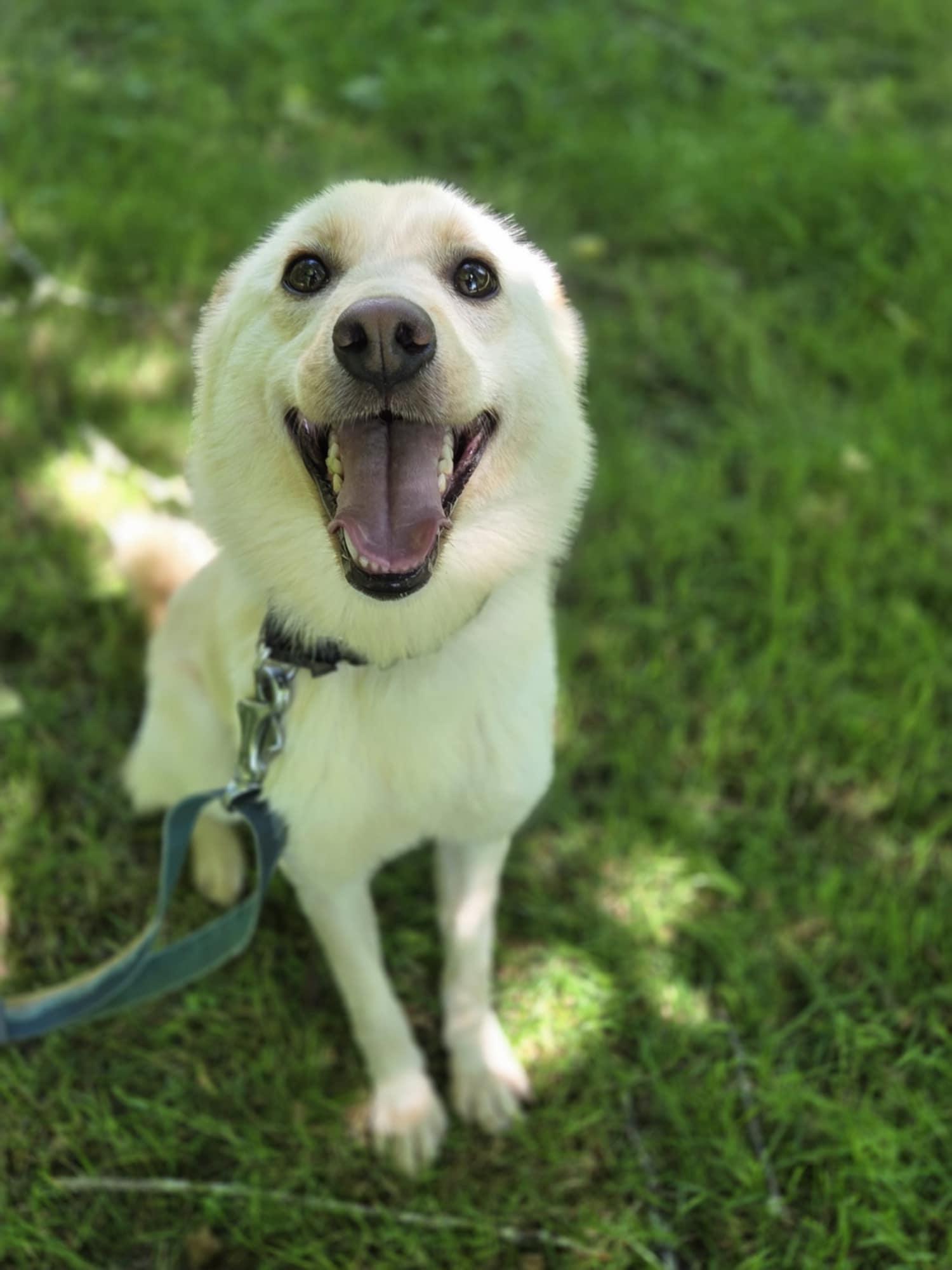 Lena-25 lbs. of love.