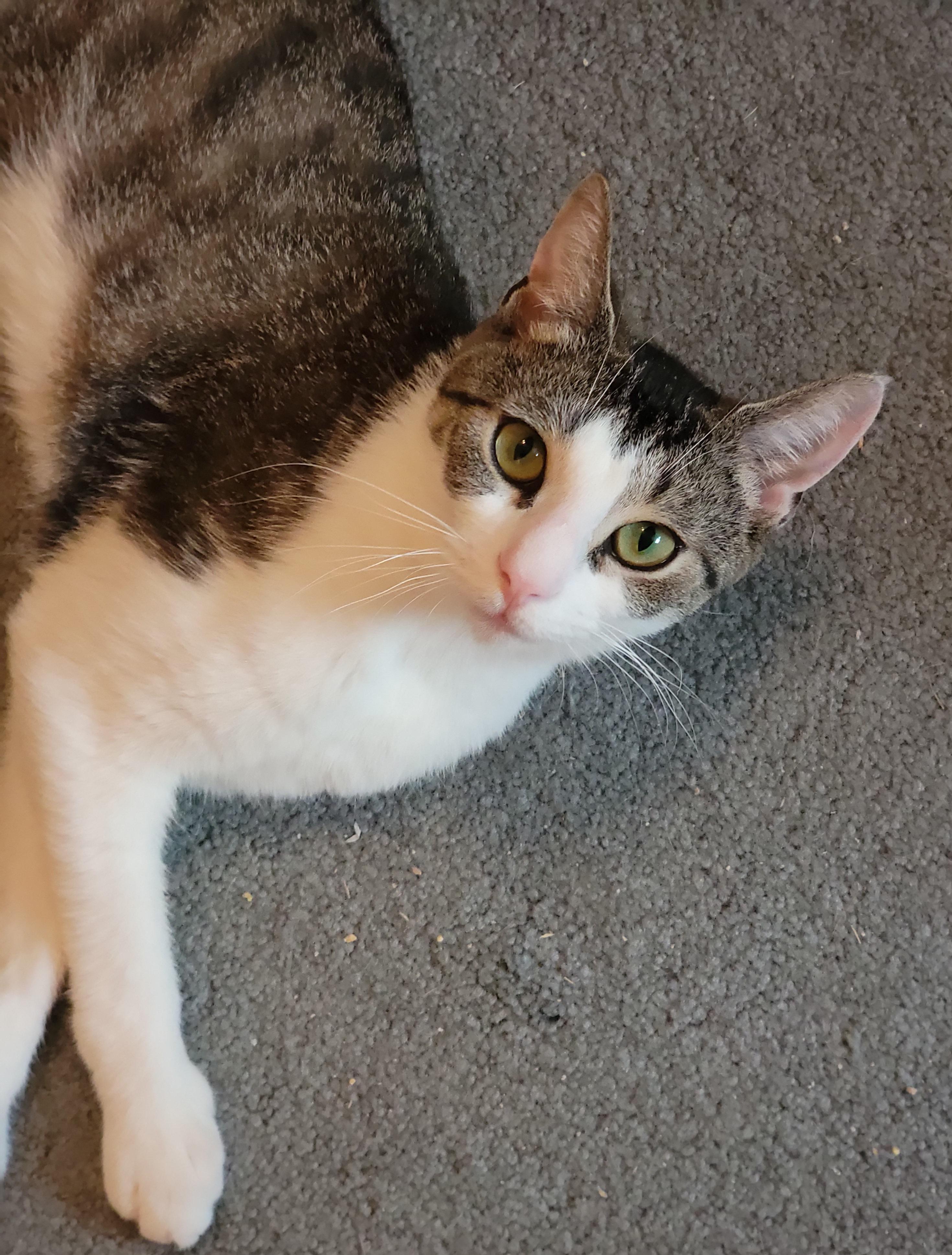 Mia